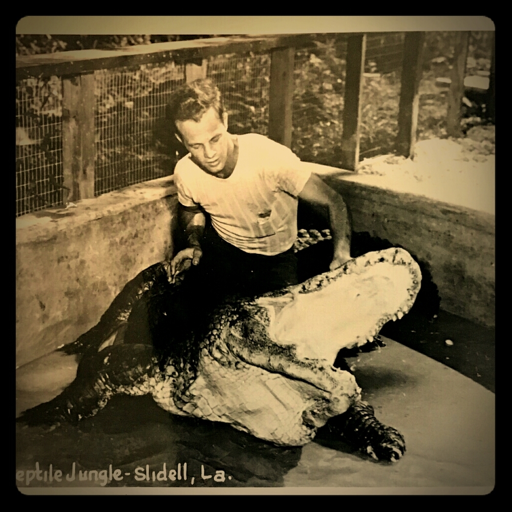 Vintage Reptile Jungle Photo Postcard